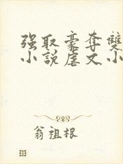 强取豪夺双男主小说虐文小说推荐