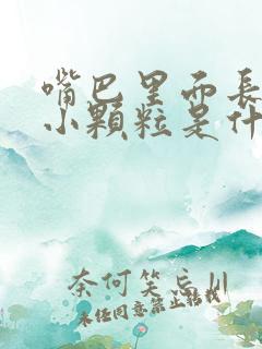 嘴巴里面长好多小颗粒是什么原因