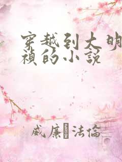 穿越到大明当崇祯的小说