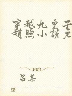 穿越九皇子燕王赵煦小说免费阅读