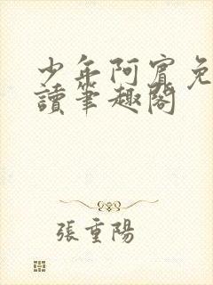 少年阿宾免费阅读笔趣阁