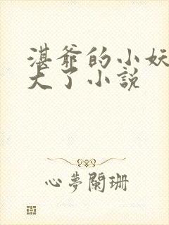 湛爷的小妖精长大了小说