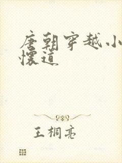 唐朝穿越小说秦怀道