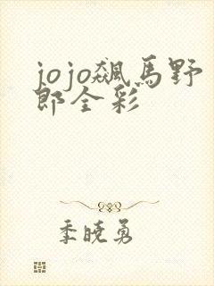 jojo飙马野郎全彩