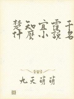 楚知宜霍千绝是什么小说名字