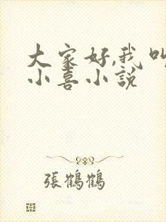 大家好,我叫林小喜小说