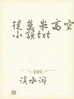 从万米高空降临小说txt