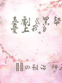 泰剧《黑帮少爷爱上我》