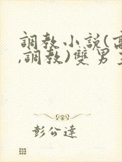 调教小说(高h,调教)双男主