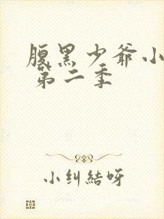 腹黑少爷小甜妻 第二季