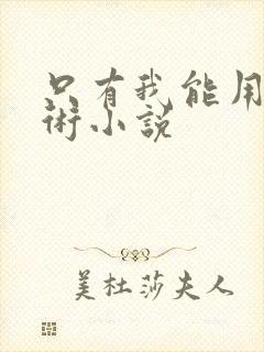 只有我能用召唤术小说