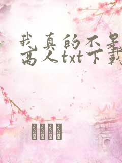 我真的不是绝世高人txt下载
