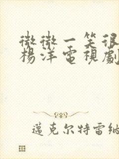 微微一笑很倾城杨洋电视剧全集免费观看