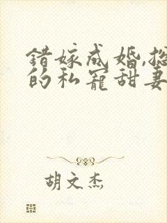 错嫁成婚,总裁的私宠甜妻