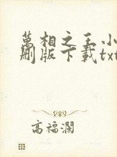 万相之王小说未删版下载txt