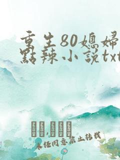 重生80媳妇有点辣小说txt