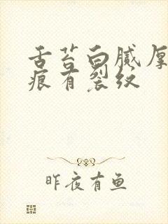 舌苔白腻厚有齿痕有裂纹