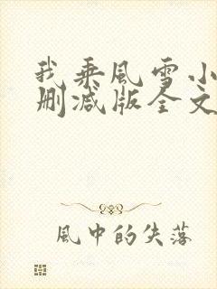 我乘风雪小说未删减版全文阅读