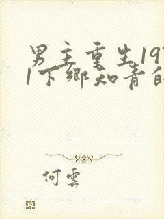 男主重生1971下乡知青的小说