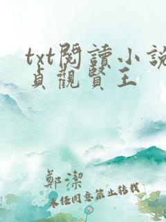 txt阅读小说贞观贤王