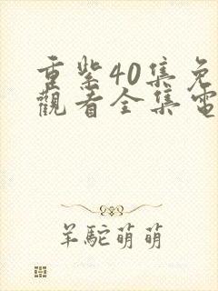 重紫40集免费观看全集电视剧