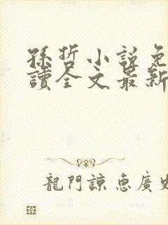 孙哲小说免费阅读全文最新章节下载