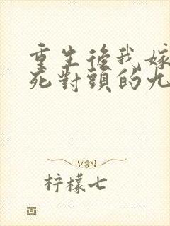 重生后我嫁给了死对头的九叔