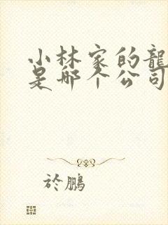 小林家的龙女仆是哪个公司出品的