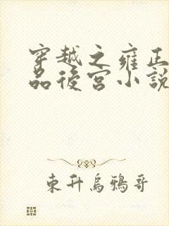 穿越之雍正的极品后宫小说