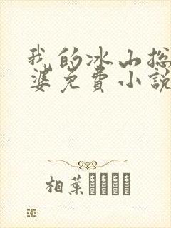 我的冰山总裁老婆免费小说