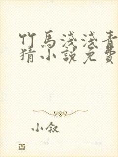 竹马浅浅青梅无猜小说免费阅读