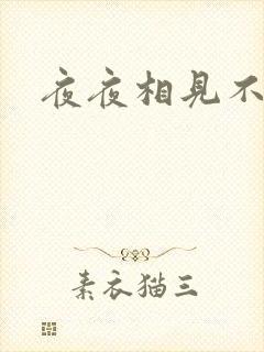 夜夜相见不识君