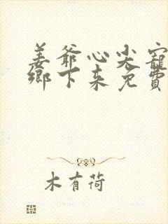 姜爷心尖宠她从乡下来免费全文阅读