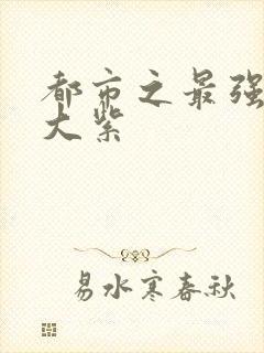 都市之最强狂兵大紫