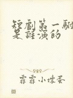 短剧第一驸马爷是谁演的