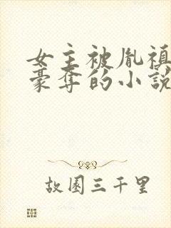 女主被胤禛强取豪夺的小说