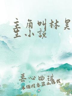 主角叫林昊的医生小说