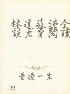 林道苏沛全的小说免费阅读笔趣阁