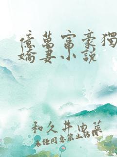 亿万富豪独宠小娇妻小说