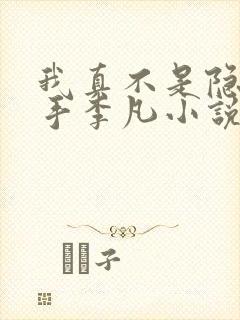 我真不是隐世高手李凡小说