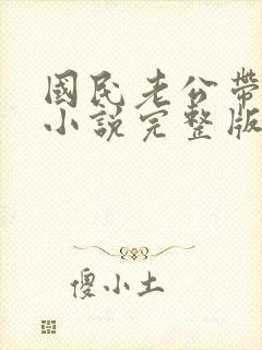 国民老公带回家小说完整版