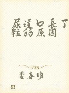 尿道口长了小肉粒的原因