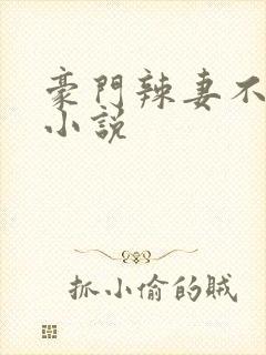 豪门辣妻不好惹小说