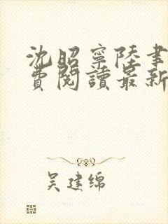 沈昭宁陆聿珩免费阅读最新章节更新