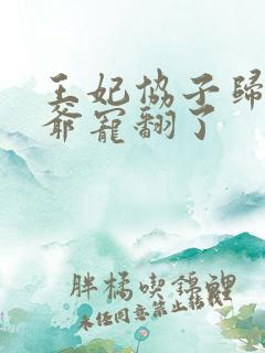 王妃协子归来王爷宠翻了