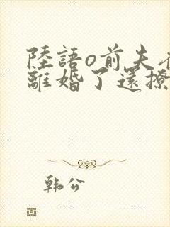 陆语o前夫夜袭离婚了还撩我无删减完整版