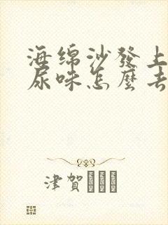 海绵沙发上的猫尿味怎么去除