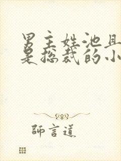 男主姓池且男主是总裁的小说