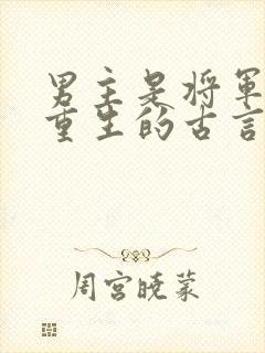 男主是将军女主重生的古言