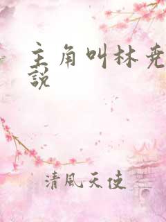 主角叫林尧的小说